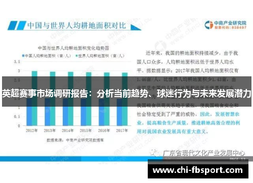 英超赛事市场调研报告：分析当前趋势、球迷行为与未来发展潜力