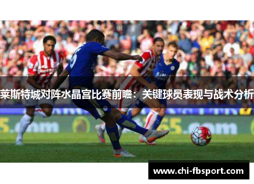 莱斯特城对阵水晶宫比赛前瞻：关键球员表现与战术分析