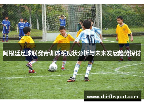 阿根廷足球联赛青训体系现状分析与未来发展趋势探讨