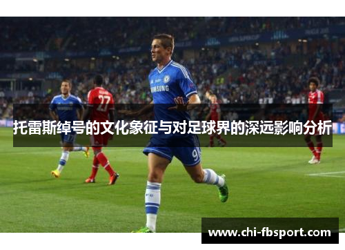 托雷斯绰号的文化象征与对足球界的深远影响分析