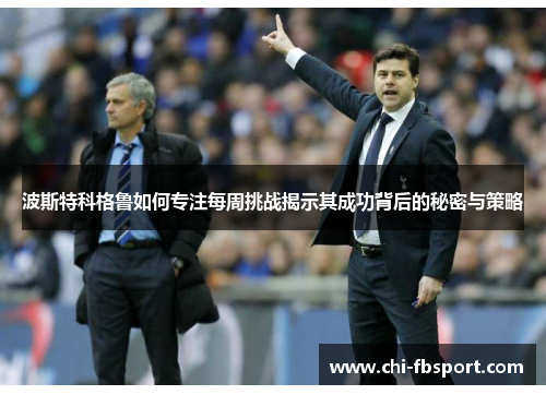 波斯特科格鲁如何专注每周挑战揭示其成功背后的秘密与策略