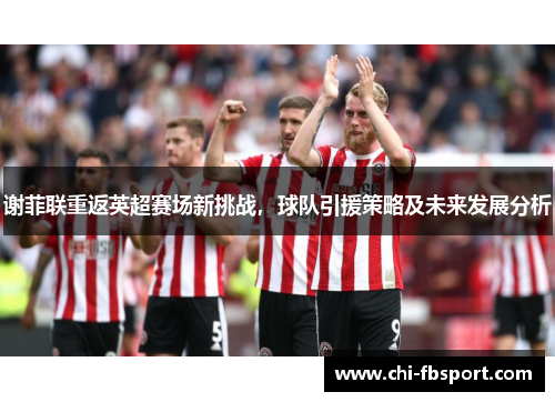 谢菲联重返英超赛场新挑战，球队引援策略及未来发展分析