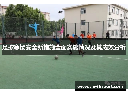 足球赛场安全新措施全面实施情况及其成效分析