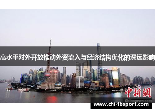高水平对外开放推动外资流入与经济结构优化的深远影响