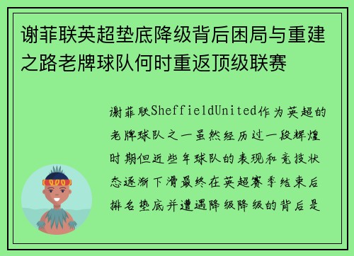 谢菲联英超垫底降级背后困局与重建之路老牌球队何时重返顶级联赛